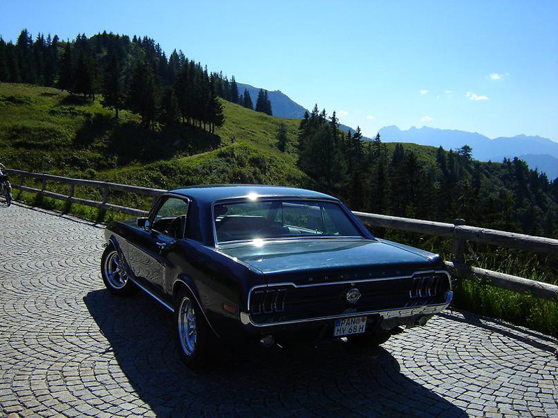 bild1