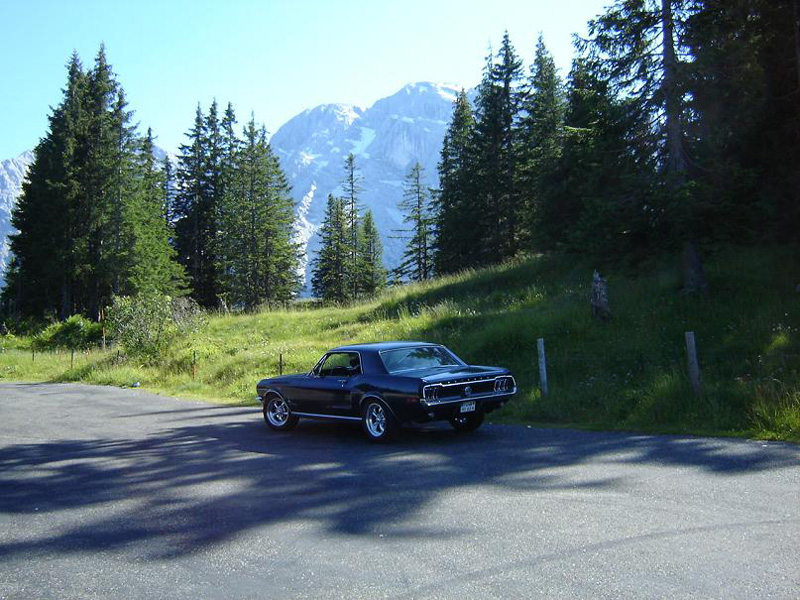 bild8